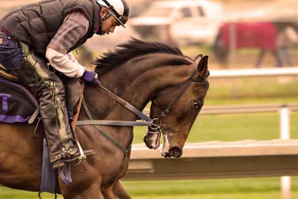 Horseback Riding Goes Wrong