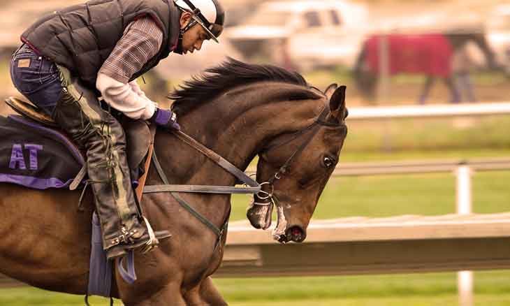 Horseback Riding Goes Wrong