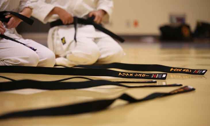 The Japanese Karate Martial Arts